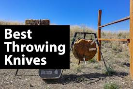 We did not find results for: 7 Best Throwing Knives For The Money Reviews In 2021