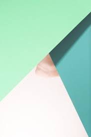 Still Life By Daniel Gregoric 3 Colorful Backgrounds Color Of Life Photography
