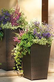 Maybe you would like to learn more about one of these? Brantley Woven Planter Frontgate Garden Containers Outdoor Flowers Container Gardening