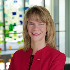 Selecting a Framework to Guide Sustainability Strategy