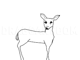 How To Draw A Doe Step By Step Drawing Guide By Animorpher Dragoart Com Free vector drawing of a 20 euros banknote public domain drawing of people free clipart drawing house vector drawing of house architectural house drawing outline house on wheels drawing free air. to draw a doe step by step drawing