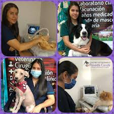 Centro Veterinario Poveda Conde