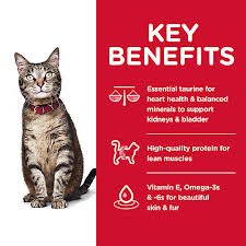 $5.00 off on hill science diet dog food. Hill S Science Diet Adult Cat Food Chicken Cat Dry Food Petsmart