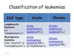 Image result for leukemia