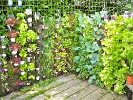 Bottle Tower Gardens Provide Exceptionally Efficient Small Space Growing Vertical Vegetable Gardens Vertical Garden Diy Container Gardening Vegetables