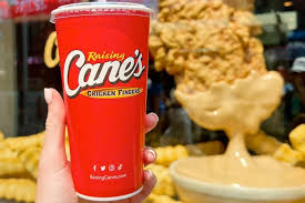 Image result for Canes