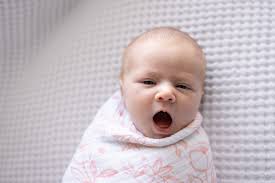 Angela Wenger Photography‎