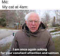 What is the meme generator? Bernie Sanders I Am Once Again Asking Meme Template