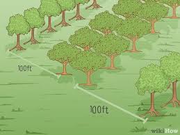 Pollen is primarily transferred by honeybees. How To Pollinate Fruit Trees With Pictures Wikihow