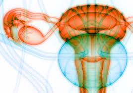What every clinician should know. Polycystic Ovary Syndrome May Be Inherited Epigenetically The Scientist Magazine