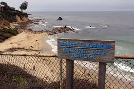 Tide Pools Of Little Corona Del Mar Corona Del Mar Beach