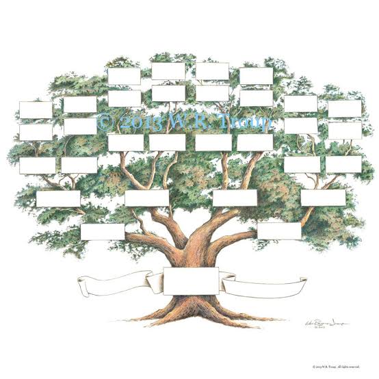 Super Large Family Tree Displays 5-6 Generations by Raymon Troup - Etsy