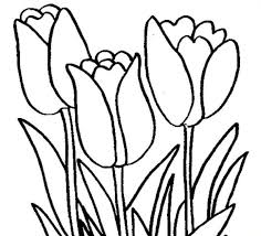 Kalau berbicara tentang bunga pasti yang terbayang adalah keindahannya. Baru 30 Lukisan Bunga Yang Senang Dilukis 100 Gambar Sketsa Bunga Tulip Yang Mudah Kekinian Gambar Download 20 Contoh Ga Sketsa Bunga Lukisan Bunga Bunga