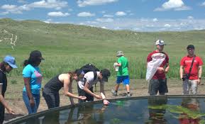 Concepts in Animal Parasitology, Chapter 69: A Short Introduction to M" by  Klaus Rohde and Robin M. Overstreet