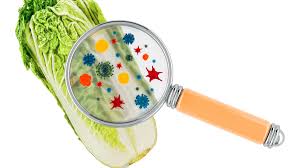 What are food safety risks? - FSAgeorgia