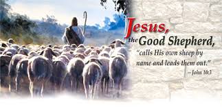 Jesus is the Epitome of Your Shepherd – The Truth will make you Free!