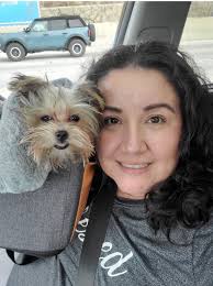 Caring for a neglected Yorkie: advice needed