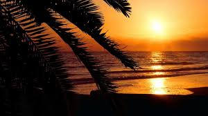 Aesthetic Sunset Desktop Wallpapers Top Free Aesthetic Sunset Desktop Backgrounds Wallpaperaccess