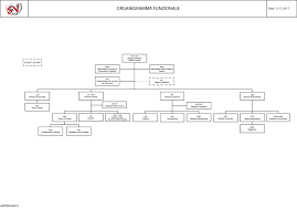 organization chart