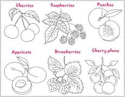 Pin On Coloring Pages