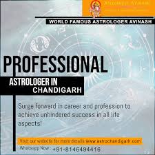 Professional Astrologer In Chandigarh Surge Forward In Career And Profession To Achieve Unhindered Success In All Life Aspec Business Problems Life Achievement