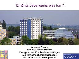 Ppt Erhohte Leberwerte Was Tun Powerpoint Presentation Free Download Id 3358257