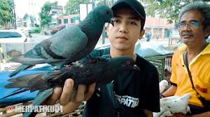 Jual beli burung area purwokerto. Mencoba Beli Burung Dipilihin Sama Penjualnya Youtube