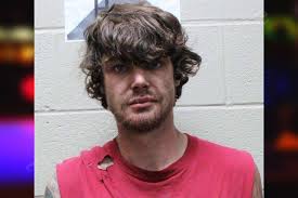 Ethan Roe — Haralson County Jail Bookings
