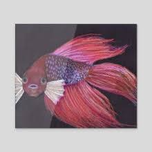 All posts but memes must be original content. Solomon The Dragonscale Betta Fish An Art Canvas By Michelle Elizondo Inprnt