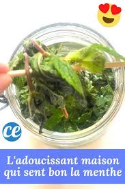 L Adoucissant Maison Pour Des Vetements Tout Doux A L Odeur Fraiche De Menthe Recette En 2020 Adoucissant Maison Menthe Adoucissant