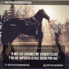 Discover and share quotes en espanol. 98 Corridos Vip Frases Ideas Spanish Quotes Corridos Quotes