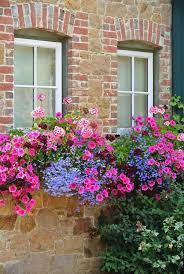 Untitled Window Box Flowers Window Box Garden Window Box