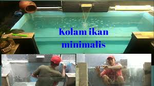 Membuat Kolam Ikan Kaca Minimalis Di Samping Saung Youtube