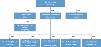 Form 424b4 Zai Lab Ltd