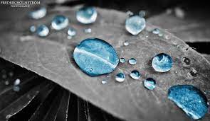 Macro Photography Macro Photography Water Water Photography Color Splash Photography