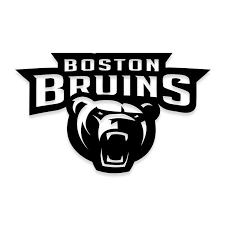 This is the most popular shirt that is sold. Boston Bruins Bear Logo Nhl Hockey Decal Sticker Decalfly