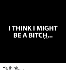 I Think I Might Be A Bitch Ya Think Meme On Me Me