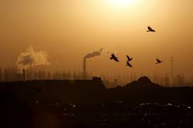 We did not find results for: Explainer How Will China S New National Carbon Emissions Trading Scheme Ets Work Reuters