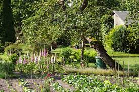 Der ökogarten der volkshochschule wurde 1985 gegründet. Grundlagen Naturgarten Nabu