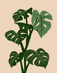 Monstera Leaf Art Limited Edition Of 10 Artwork Leaf Art Leaf Illustration Abstract Expressionism Art