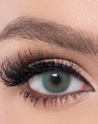 El Amore Amore Sea Green Ck Optik Gozluk Magazalari