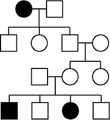 Autosomal Pedigree Worksheet Worksheet Fun And Printable