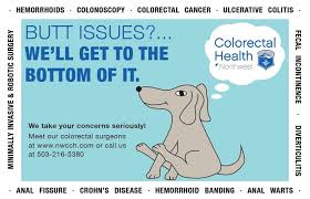 Dogs have smell receptors 10,000 times more accurate than humans', making them highly sensitive to odors we can't perceive. Https Veterinaryreferralsurgery Com Wp Content Uploads 2021 03 2021 Cvma Posterior Problems Key Pdf