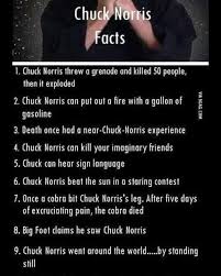 Chuck Norris Doesn T Post Bail The Bail Posts For Him 320 438 8600 Chuck Norris Norris Imaginary Friend