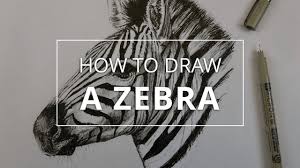 But for some reason, until now these dogs are hungry on our site, and so we decided to draw a bone for them. How To Draw A Portrait Of A Zebra Youtube