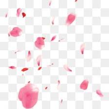 Flower Png Watercolor Flower Sunflower Flower Border Pink Flower Flower Vector Blue Flower Flower Em 2020 Com Imagens Flor De Cerejeira Decoupage Vintage Fundo Para Fotos