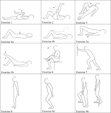 Pin On Physiotherapy Exercises For Lower Back Pain