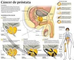 Pin En Buena Salud
