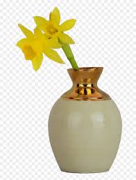 We did not find results for: Vase Flower Gold Png Transparent Png Vhv