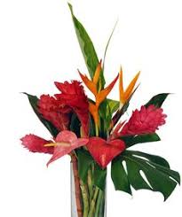 Surprise someone with some fresh tropical flowers from hawaii. 14 Hawaiian Tropical Flower Bouquets Ideas Hawaiian Flowers Tropical Flowers Bouquet Tropical Flowers